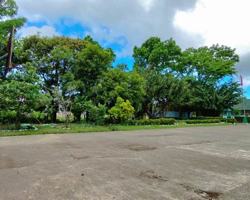 Basketball Court